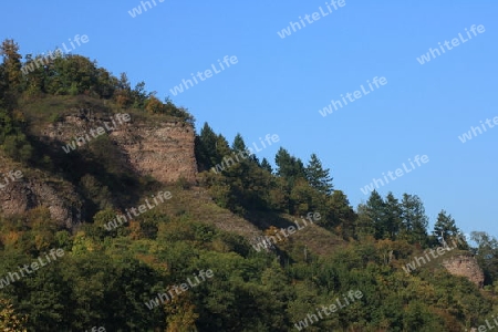 Mid-mountain landscape with trees and blue sky   