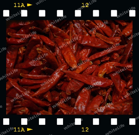 red hot chilly peppers