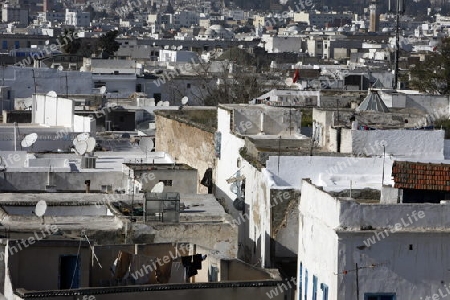 Die Dachlandschaft in der Altstadt oder Medina der Hauptstadt Tunis im Norden von Tunesien in Nordafrika am Mittelmeer. 