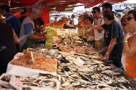 the fish market in the old Town of Siracusa in Sicily in south Italy in Europe.