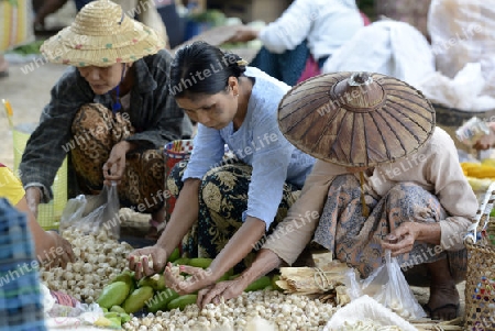 The Market in the village of Ywama at the Inle Lake in the Shan State in the east of Myanmar in Southeastasia.