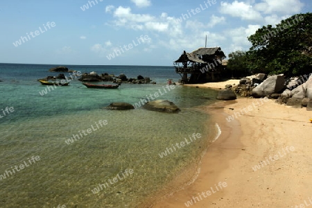 Der Strand  von Sai Naun Beach auf der Insel Ko Tao im Golf von Thailand im Suedwesten von Thailand in Suedostasien. 
