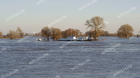 F?hre Prettin im Elbe Hochwasser 2011