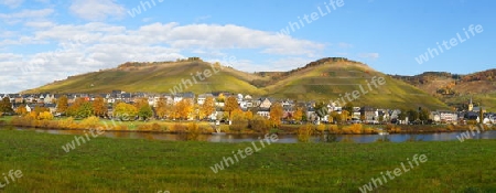 Zeltingen an der Mosel Panorama im Herbst  