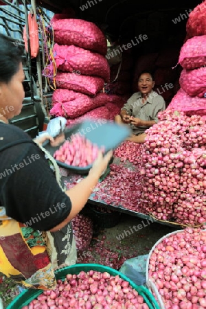 Zwibeln auf dem Pak Khlong Markt von Bangkok der Hauptstadt von Thailand in Suedostasien.