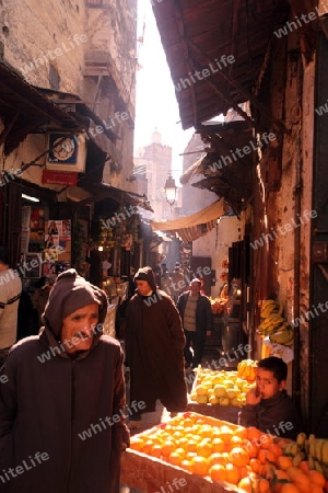 a smal Marketroad in the Medina of old City in the historical Town of Fes in Morocco in north Africa.
