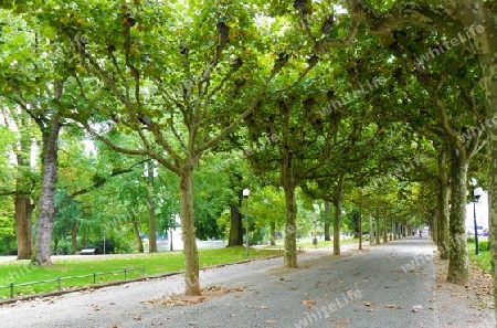 Wiesbaden Park