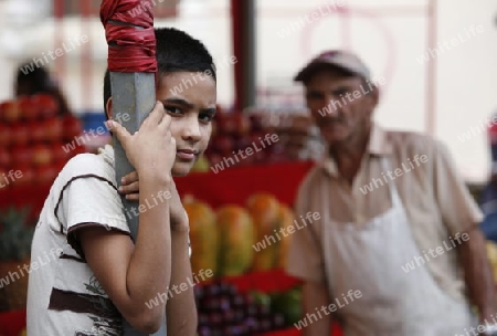 Amerika, Suedamerika, Venezuela, MaracaiboEin Fruechtehaendler auf dem Markt in der Altstadt der Kolonialstadt Coro im Nordwesten von Venezuela. 