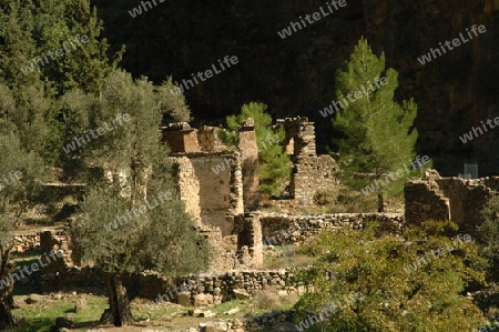 Ruinenstadt Samaria auf Kreta