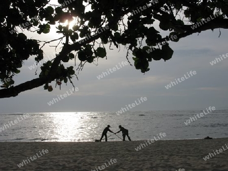 Morgenstunde am Strand. Dominikanische Republik
