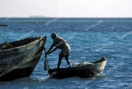 Asien, Indischer Ozean, Malediven,
Ein Fischer einer Einheimischen Insel der Inselgruppe Malediven im Indischen Ozean  .




