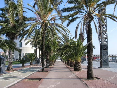 Barcelona, Promenade am Port Olimpic