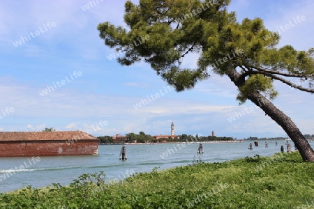 Am grünen Ufer der Lagune von Venedig