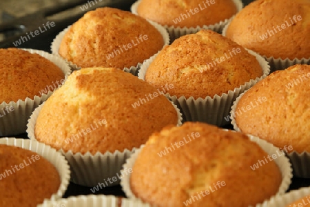 Muffins mit vanillageschmack auf dem kuchenblech. Hintergrund