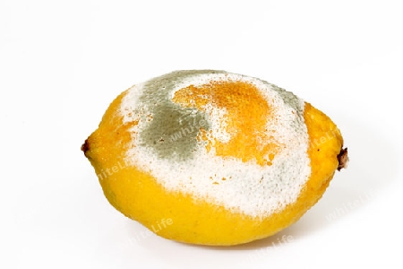 Verschimmelte Zitrone auf hellem Hintergrund