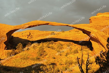 "Landscape Arch" bei Sonnenaufgang und aufziehendem Gewitter, Arches Nationalpark, Suedwesten, USA
