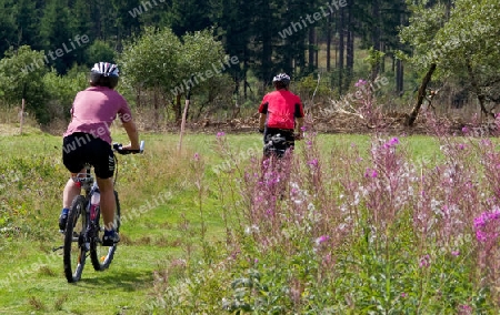 Mountainbiker im Biosph?renreservat Rh?n,dem Land der offenen Ferne,  Deutschland