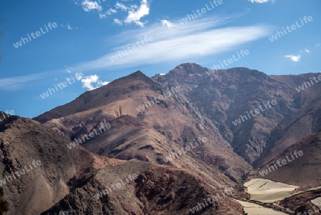 Elqui Tal in Chile