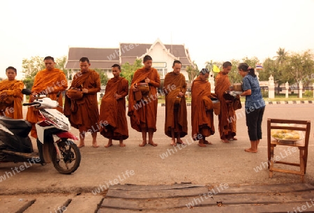 Moenche ziehen am fruehen morgen durch Alt-Sukhothai in der Provinz Sukhothai im Norden von Thailand in Suedostasien.
