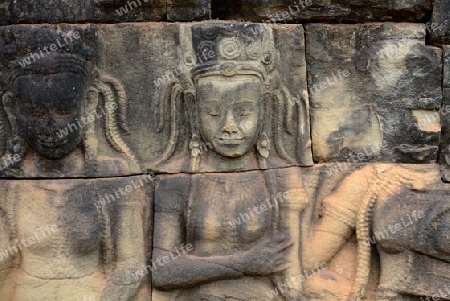 The Temple Terrace of Elephants in the Temple City of Angkor near the City of Siem Riep in the west of Cambodia.
