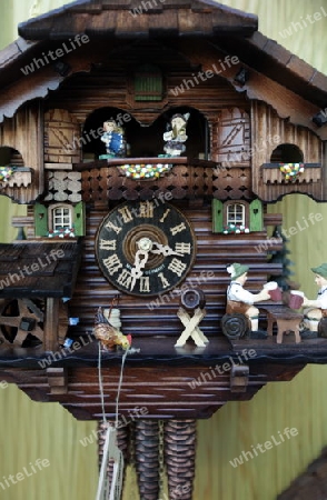 A shop of kuckuck Clock watch in the village of Triberg in the Blackforest in the south of Germany in Europe.