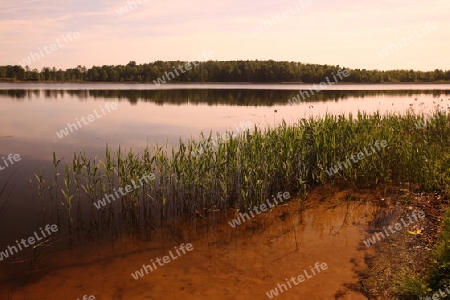 a smal lake near the town of Druskininkai in the south of Vilnius and the Baltic State of Lithuania,  