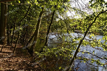 malerischer Waldsee im Biosphaerenreservat Schorfheide