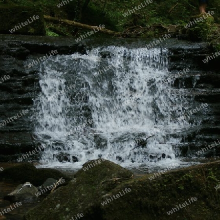 Kleiner Wasserfall, den man hochklettern kann P6150621