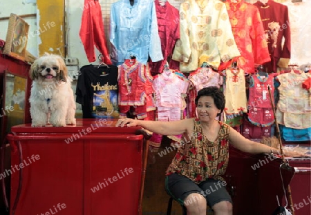 a shop in the China town in the city of Bangkok in Thailand in Suedostasien.