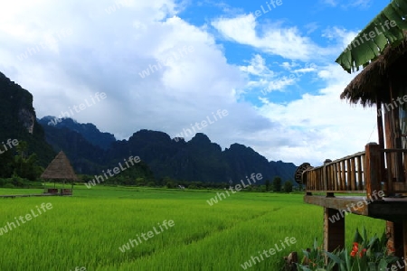 Zwischen Reisfeldern und Bergen