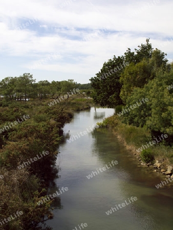 Wasserlauf in Sumpflandschaft