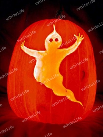 Halloween K?rbis - Geist / Pumpkin