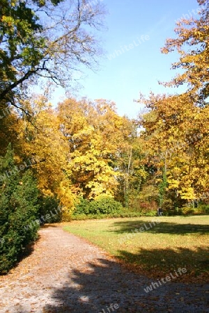 Herbst im Neuen Garten von Potsdam