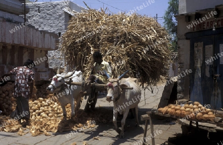 a oxwagon in the Village of Hampi in the province of Karnataka in India.