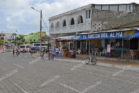 Hauptstrasse von Puerto Ayora, mit Gesch?ften und Restaurants,  Insel Santa Cruz, Indefatigable Island, Galapagos Archipel, Unesco Welterbe,  Ecuador, Suedamerika