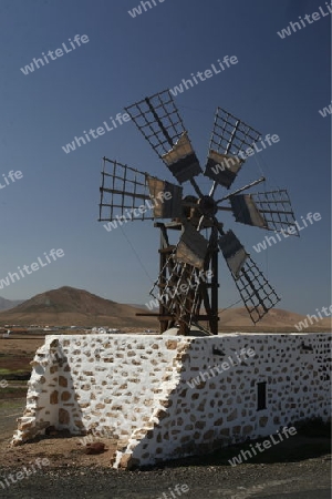 a Windmill near the Village of Antigua on the Island Fuerteventura on the Canary island of Spain in the Atlantic Ocean.