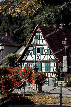 Fahwerkhaus im Elsass/Frnakreich