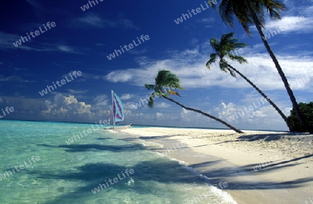 
Der Traumstrand mit Palmen und weissem Sand an der Insel Velavaru im Southmale Atoll auf den Inseln der Malediven im Indischen Ozean.   