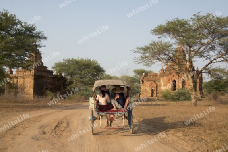 Tourists in a Horsecart Taxi in front Temple and Pagoda Fields in Bagan in Myanmar in Southeastasia.