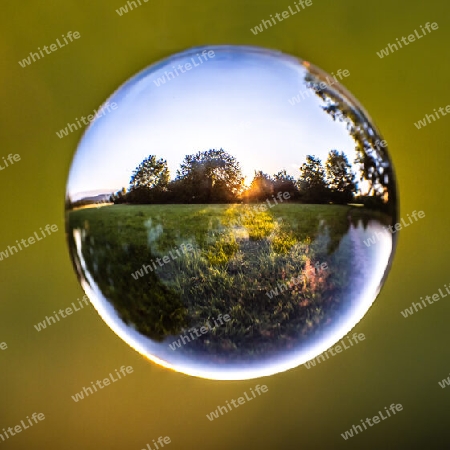 lens ball