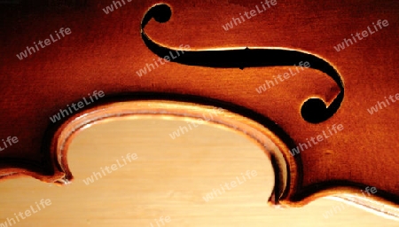 Geigenkorpus