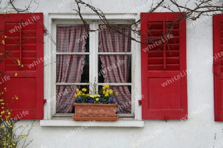 Rotes Fenster