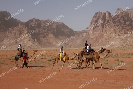 The Landscape of the Wadi Rum Desert in Jordan in the middle east.