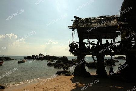 Der Strand  von Sai Naun Beach auf der Insel Ko Tao im Golf von Thailand im Suedwesten von Thailand in Suedostasien. 