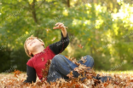 Falling over in the Fall