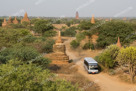 the Temple and Pagoda Fields in Bagan in Myanmar in Southeastasia.