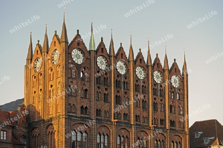 Fassade des Rathaus Stralsund am Morgen,  Altstadt, alter Markt,  Unesco Weltkulturerbe, Mecklenburg Vorpommern, Deutschland, Europa , oeffentlicher Grund
