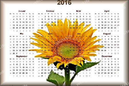 Kalender Sonnenblume