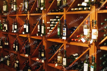 a wine Shop of the City of Santa Cruz on the Island of Tenerife on the Islands of Canary Islands of Spain in the Atlantic.  