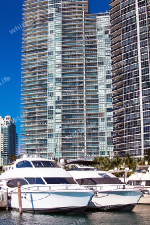 Yacht harbor in Miami Florida